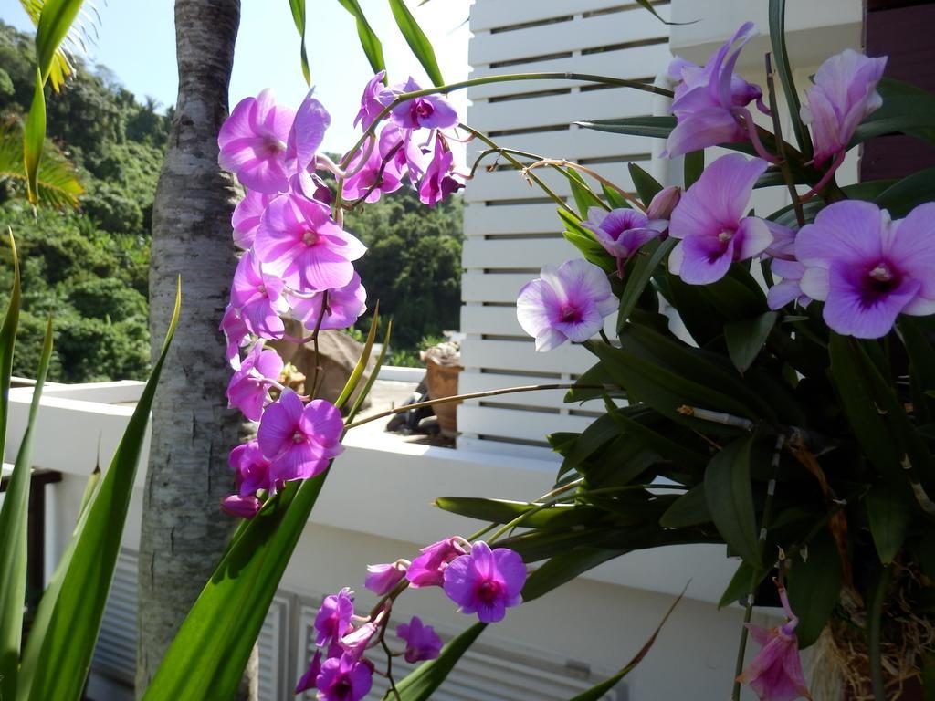 Kata Beach Studio Phuket Zewnętrze zdjęcie